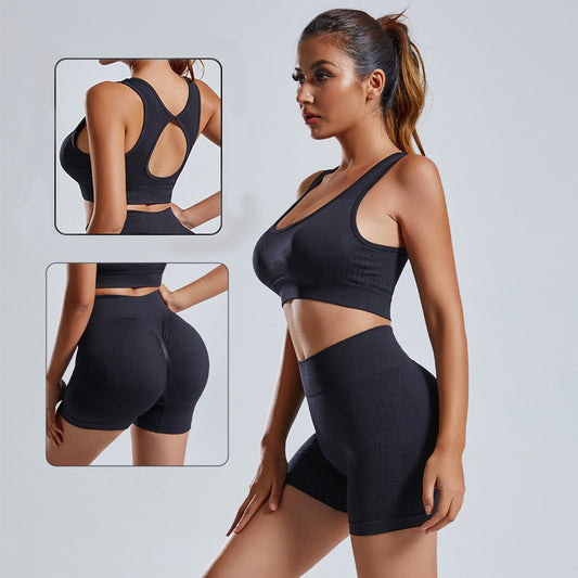 Sculpting Seamless Ribbed Sports Bra and High-Waisted Shorts Set - Impact Core Fitness
